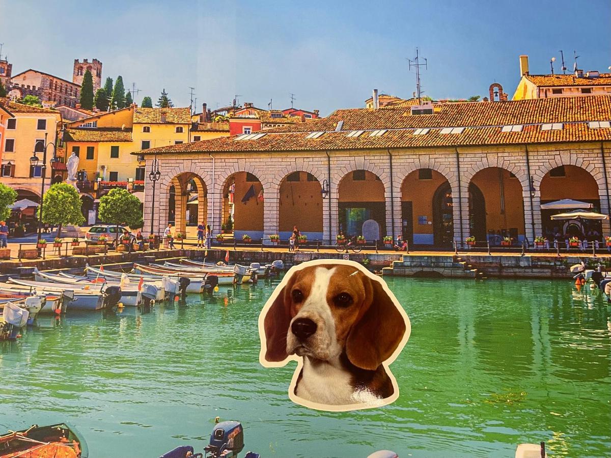 Desenzanoloft Dolce Vita Desenzano del Garda Dış mekan fotoğraf